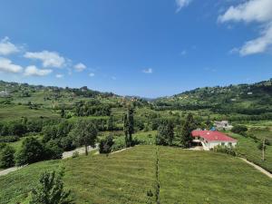 a house on top of a green hill at Trabzon rize in Of