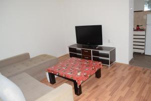 a living room with a couch and a tv at Luka Apartman in Bitola