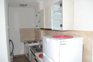 a small kitchen with a white refrigerator and a sink at Luka Apartman in Bitola