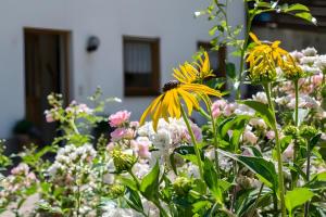 Zahrada ubytování Ferienwohnung Vergissmeinnicht