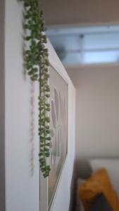 una planta colgada en una pared junto a una foto en Galazio suites 2, en Salamina 24 fotos más