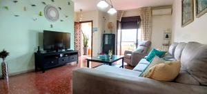 ein Wohnzimmer mit Sofa und Fernseher in der Unterkunft Bustamante in Roquetas de Mar