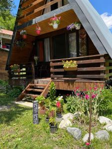 a house with potted plants on the front of it at Cottage Mida in Mestia