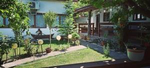 Casa Chitu外面的花园