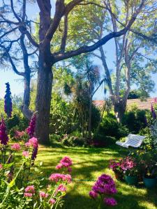 a garden with pink flowers and a bench at Les jardins du Tôt in Fermanville