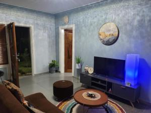een woonkamer met een bank en een tv bij Ferme hasna in Lubumbashi