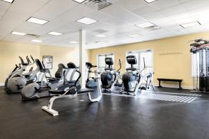 a gym with treadmills and ellipticals in a room at Wyndham Mountain Vista 2BR Apartment with Resort Access in Branson