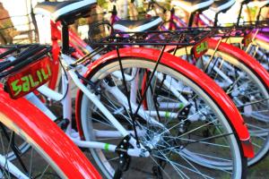 a row of red bikes parked next to each other at Salili Bungalow in Gili Islands