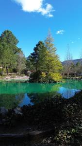 a pond with green water and trees in a park at Casa Rural Mi Camino in Riópar