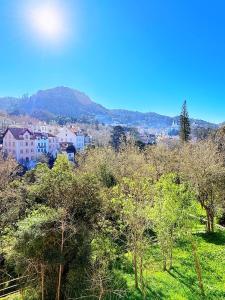 Φυσικό τοπίο κοντά σε αυτή η βίλα