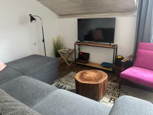 TV a/nebo společenská místnost v ubytování Studio apartman Gradna