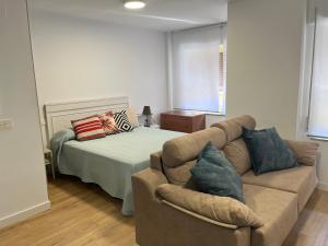 una sala de estar con un sofá y una cama en Loft Caleros La ranita Salmantina, en Salamanca