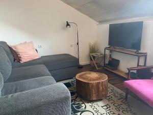 TV a/nebo společenská místnost v ubytování Studio apartman Gradna