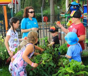 un grupo de niños mirando plantas en un jardín en Koala Shores Holiday Park, en Lemon Tree Passage