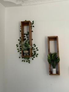 two mirrors on a white wall with plants at Aligna Bamburi in Mombasa