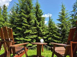 a picnic table and two chairs in front of some trees at Vila Ozon in Ranca