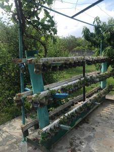 Gambar di galeri bagi Adams Rest House di Gladzor