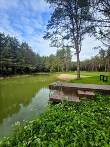 Paesaggio naturale nelle vicinanze della casa vacanze