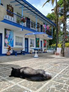 Fotografie z fotogalerie ubytování Vista Farallones Hostel v destinaci Jardin