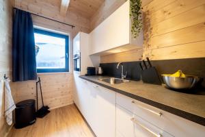 Kuchyň nebo kuchyňský kout v ubytování Clofers Relax Residences Rattendorf