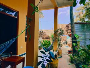 une chambre avec des plantes et une vue sur le désert dans l'établissement Perera Hotel & Restaurant, à Baie d'Arugam