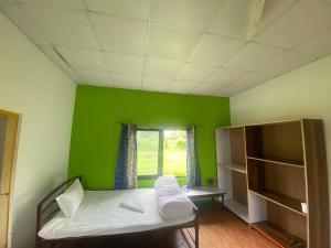ソーラハにあるHOSTEL ANIMAL LOvEの緑の部屋(ベッド1台、窓付) +11枚の写真