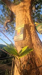 Fotografie z fotogalerie ubytování Muddy South Mountain Retreat v destinaci Libho