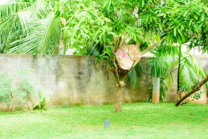 Φωτογραφία από το άλμπουμ του Ashwin Ayurveda Villa σε Hikkaduwa