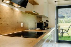 Kuchyň nebo kuchyňský kout v ubytování Clofers Relax Residences Rattendorf