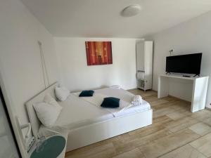 a white room with a white couch and a television at Pensiunea La Miluta in Caraorman