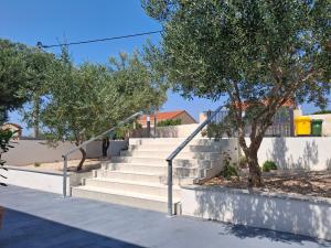 a set of stairs with trees in front of a building at Apartmani Šegota in Lun