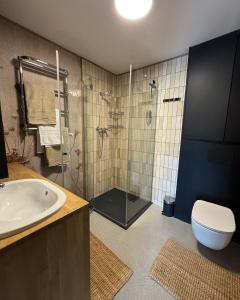 a bathroom with a shower and a sink and a toilet at Grzeszne Chatki - Smerek in Smerek