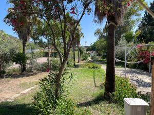 Zahrada ubytování Xanthos Hotel Patara Ev