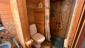 ein kleines Badezimmer mit Toilette und Dusche in der Unterkunft Idyllisches Landhaus mit Ruderboot, Südschweden in Vissefjärda + 74 Fotos