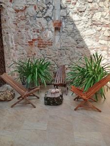 two wooden benches in a courtyard with plants at Habitación privada en Getsemaní in Cartagena de Indias +3 photos