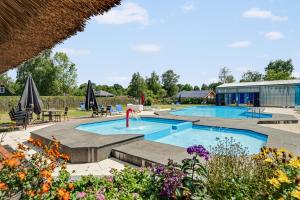 Bazén v ubytování Vakantiepark 't Hooge Holt nebo v jeho okolí