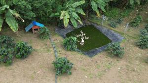 Galería fotográfica de Cabaña Estándar El Retiro en Guaduas en Guaduas