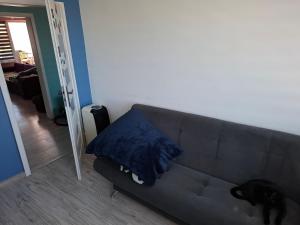 a black cat sitting on a couch in a living room at Pokoje do wynajęcia in Michałowo +1 photo