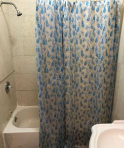 Private 2-bedroom apartment and New York City Manhattan only 15 mins away في يونيون سيتي: حمام مع ستارة دش زرقاء ومغسلة