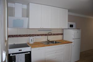 Kuchyňa alebo kuchynka v ubytovaní Apartment Ptačí Dům