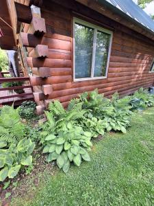 Zahrada ubytování Charming Creekside Log Cabin with Wood Burning Stove Overlooking the Neshannock Creek, Western PA