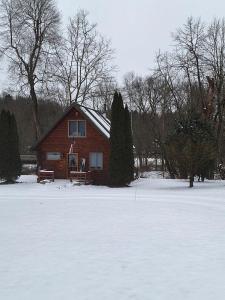Charming Creekside Log Cabin with Wood Burning Stove Overlooking the Neshannock Creek, Western PA v zimě