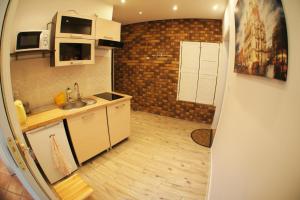 Kuchyňa alebo kuchynka v ubytovaní Apartament Poznań Jeżyce