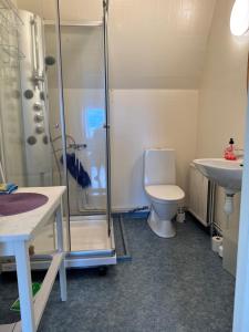 a bathroom with a shower and a toilet and a sink at Luthagård in Äng +46 photos
