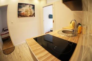 Kuchyňa alebo kuchynka v ubytovaní Apartament Poznań Jeżyce