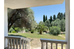 Zahrada ubytování Villa Natalia