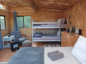 een slaapkamer met twee stapelbedden in een kamer bij Gaia River Cabin in Swellendam
