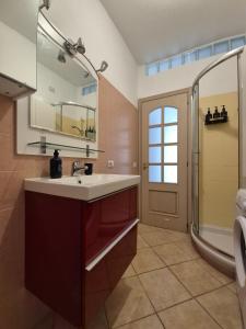 un baño con lavabo y ducha en Casa Stile Libero 23 Arcore FS-GP Monza-Milano-Lecco, en Arcore 17 fotos más