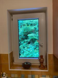 Fotografie z fotogalerie ubytování Alba Apartmany Železná Ruda v destinaci Železná Ruda