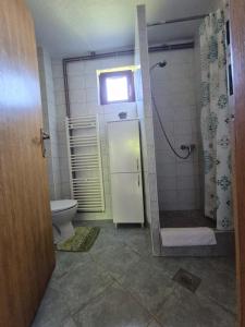 a bathroom with a shower and a toilet and a window at Plitvice House Rosha 2 in Plitvička Jezera +17 photos